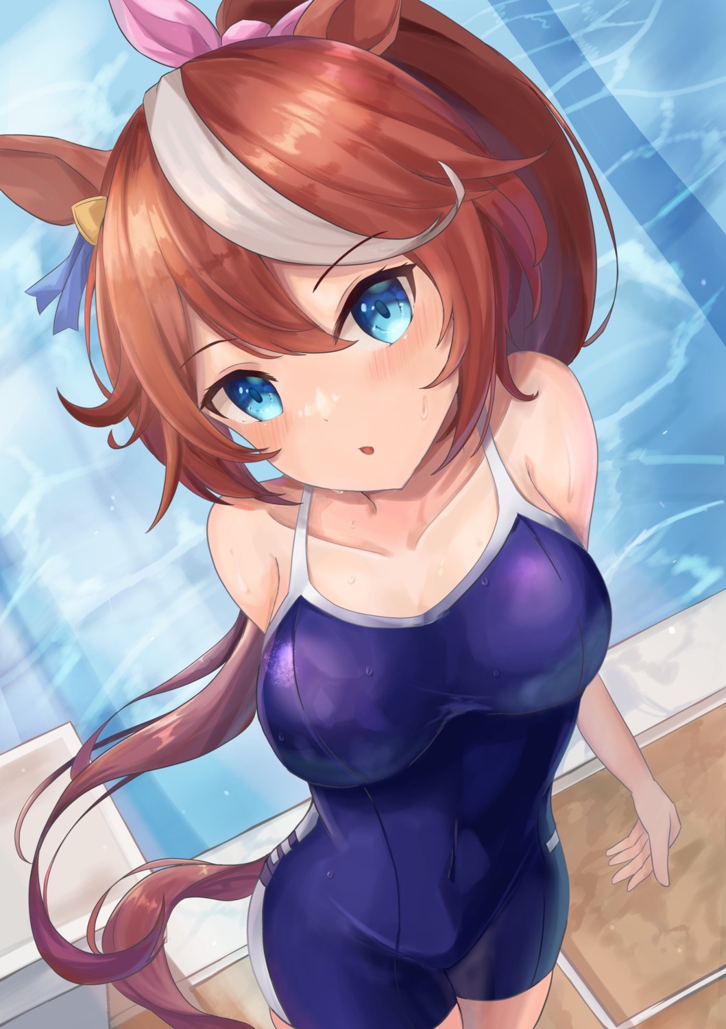 animal_ears school_swimsuit swimsuits tail tokai_teio_(umamusume) uma_musume_pretty_derby waity_awa wet