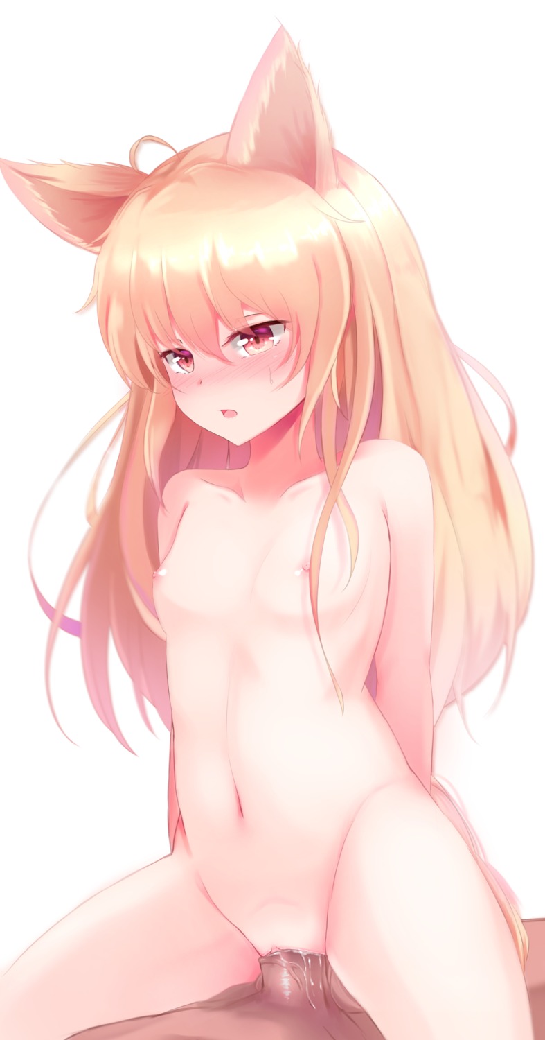 animal_ears elin loli naked nipples penis pussy pussy_juice septet_(zrca_janne) sex tera_online uncensored