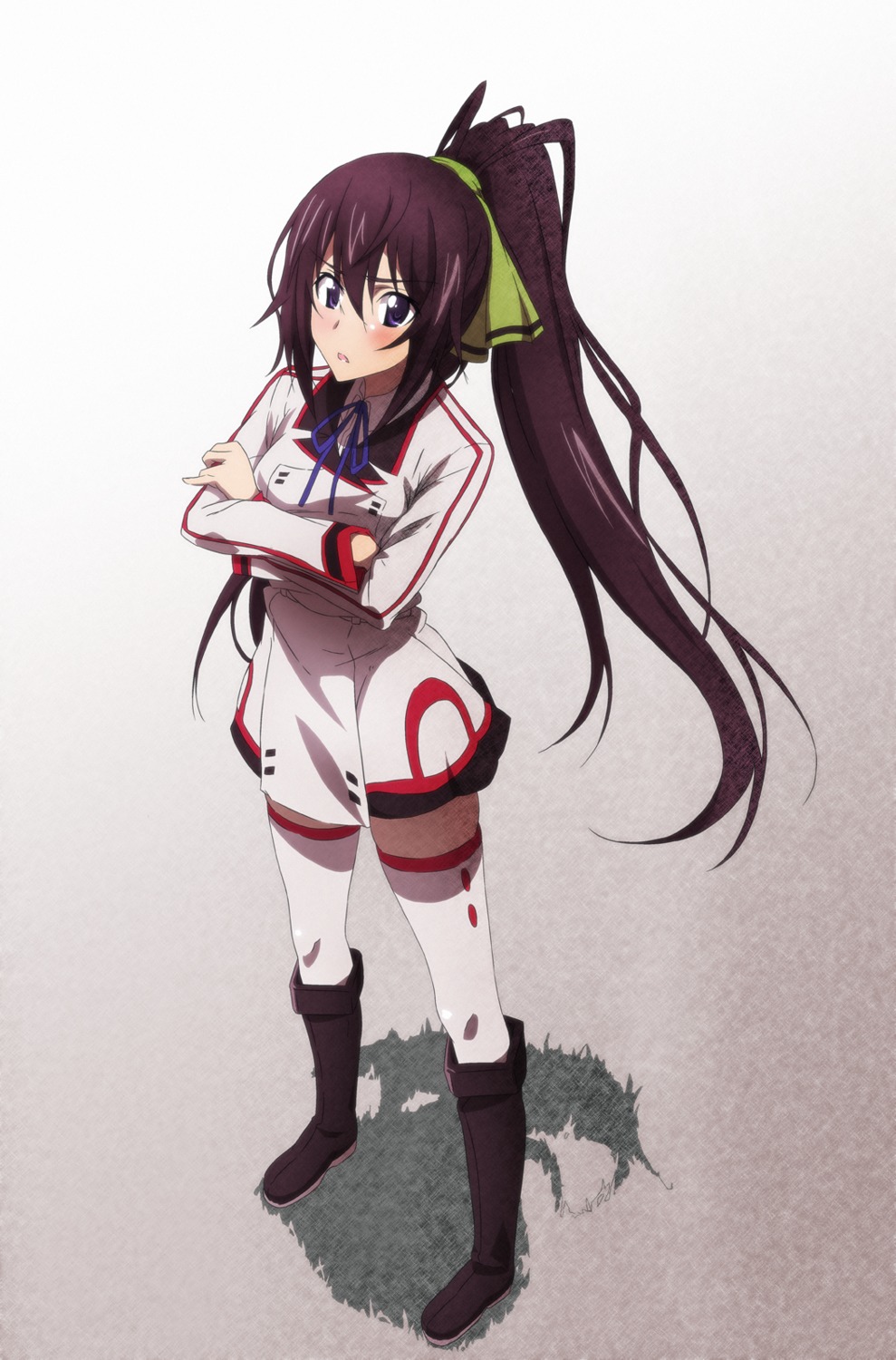 infinite_stratos seifuku shinonono_houki tappa thighhighs yatanuko