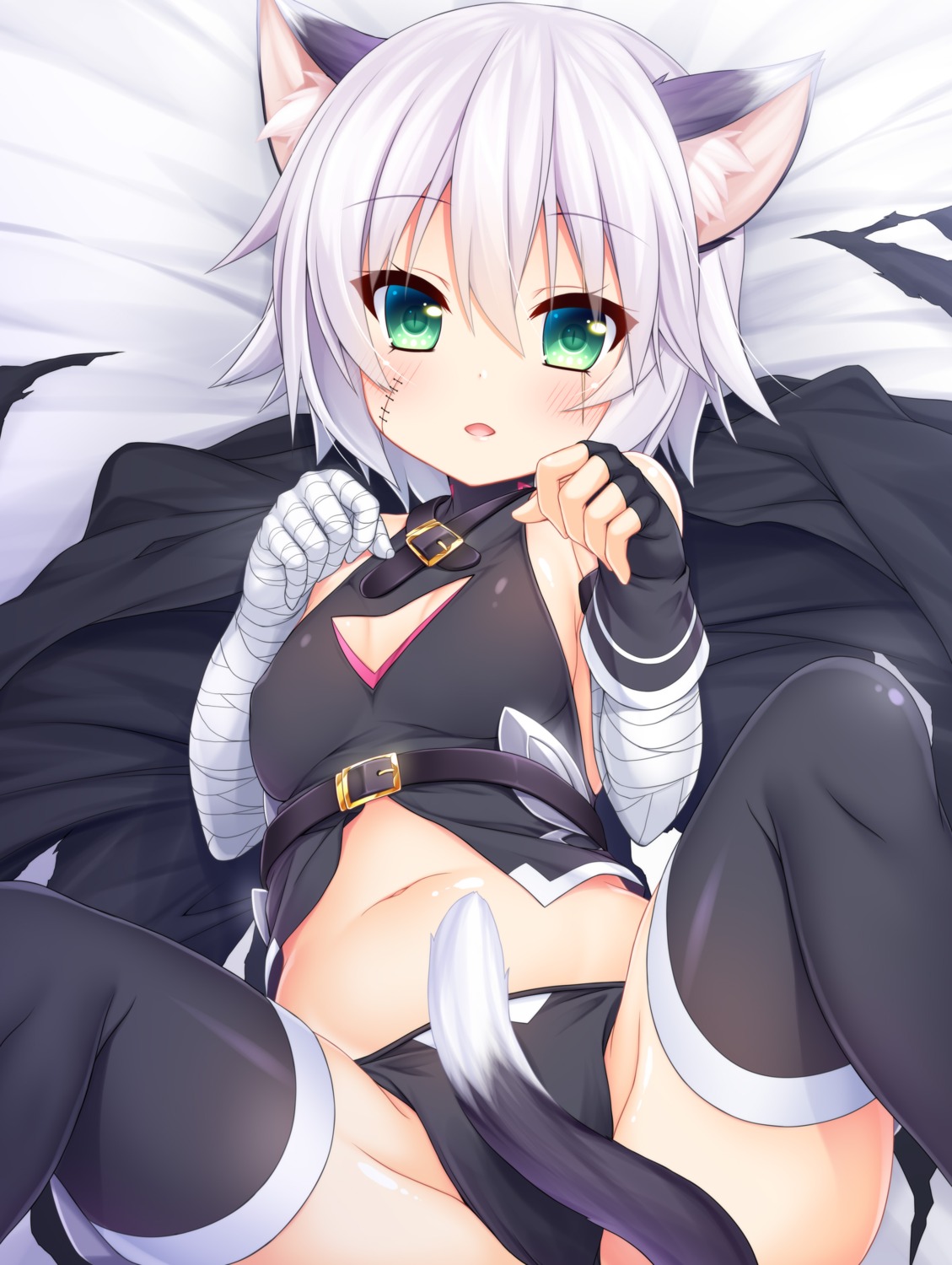 animal_ears bandages fate/apocrypha fate/grand_order fate/stay_night jack_the_ripper nekomimi pantsu tail thighhighs wakagi_repa