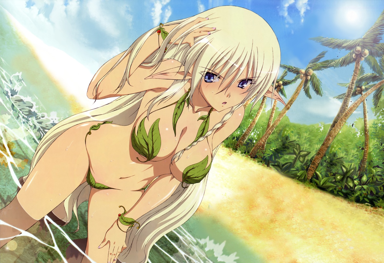 alleyne bikini cleavage elf miyazawa_tsutomu photoshop pointy_ears queen's_blade swimsuits