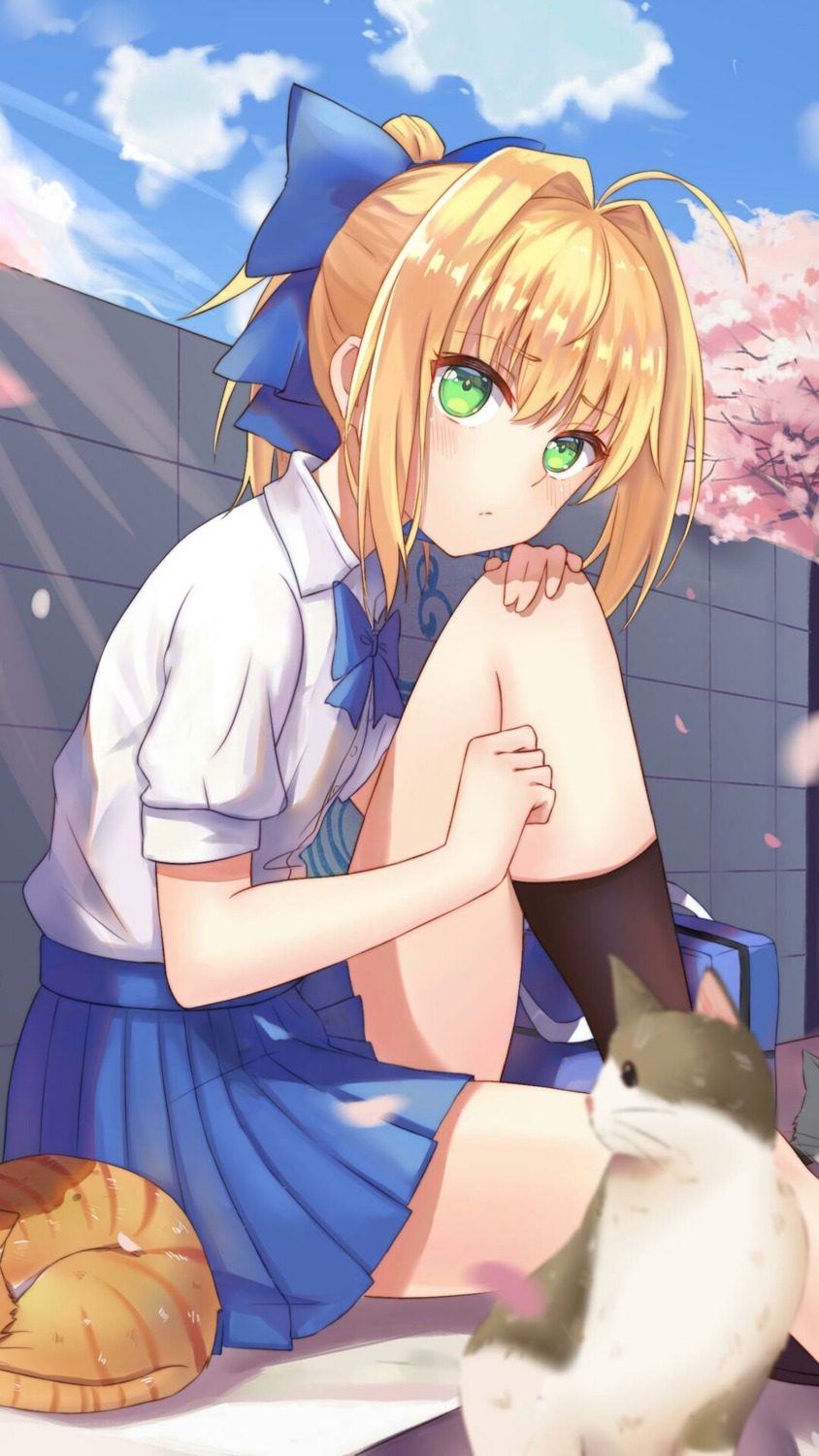 fate/stay_night neko saber seifuku yu_huan_i