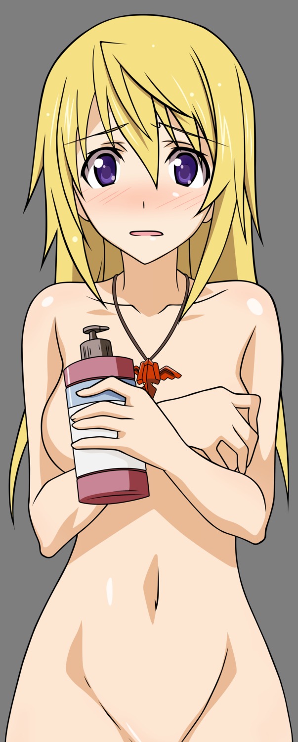 breast_hold charlotte_dunois infinite_stratos naked transparent_png vector_trace