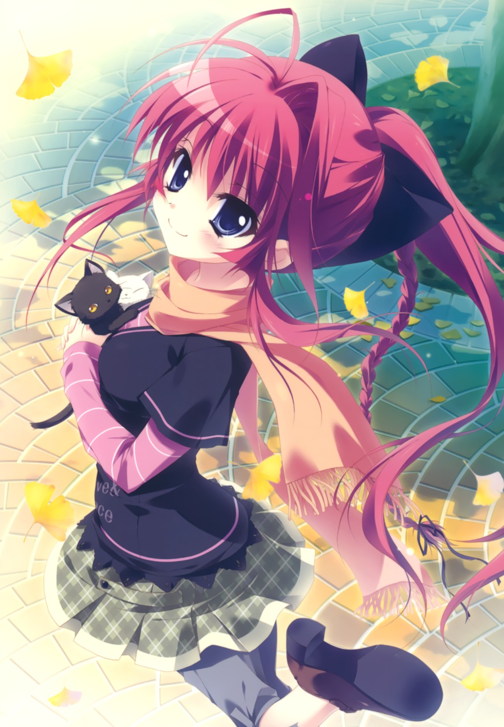 inui_sana izumi_tsubasu mashiroiro_symphony neko