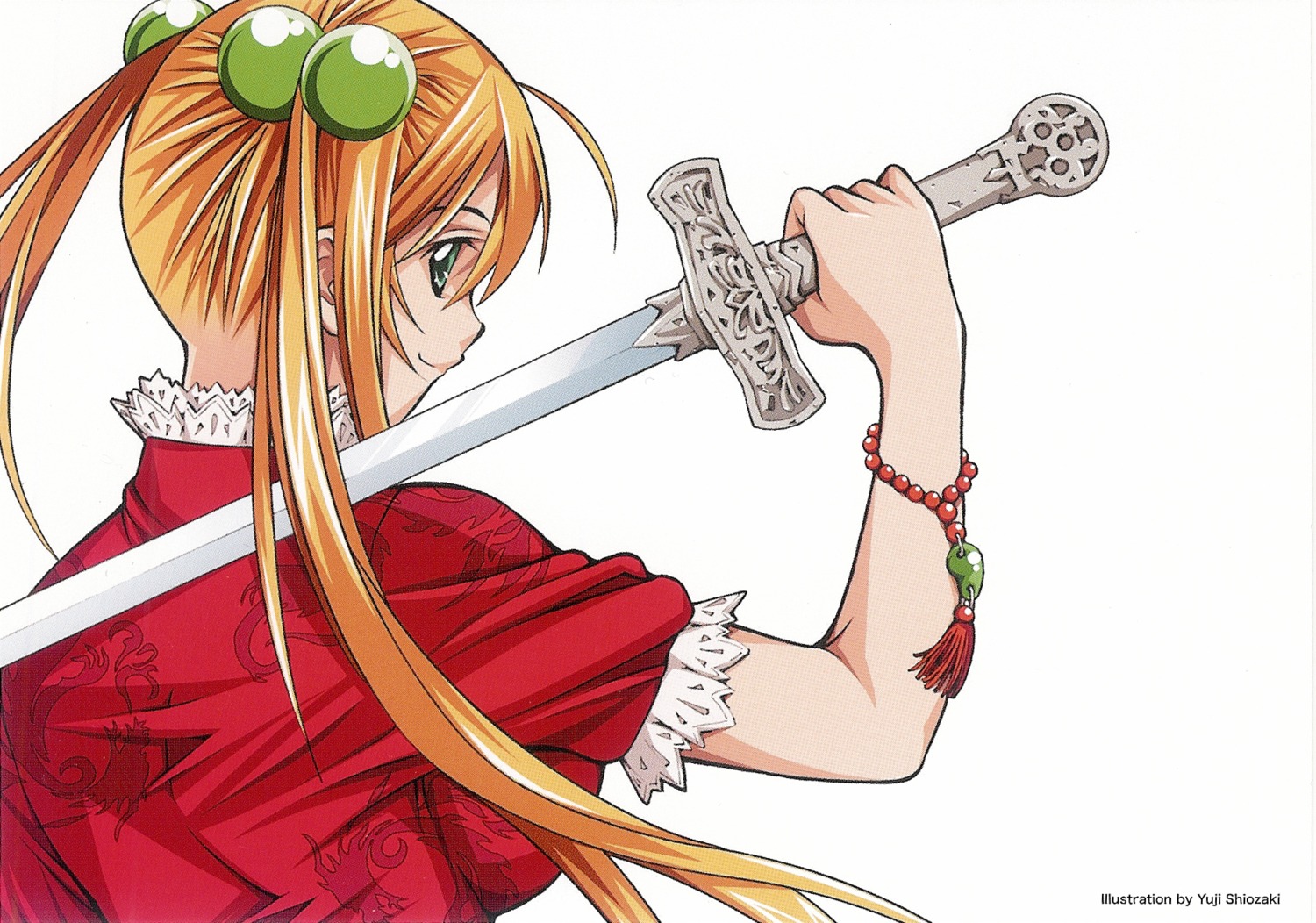 ikkitousen ikkitousen~dragon_destiny~ screening shiozaki_yuuji sonsaku_hakufu sword