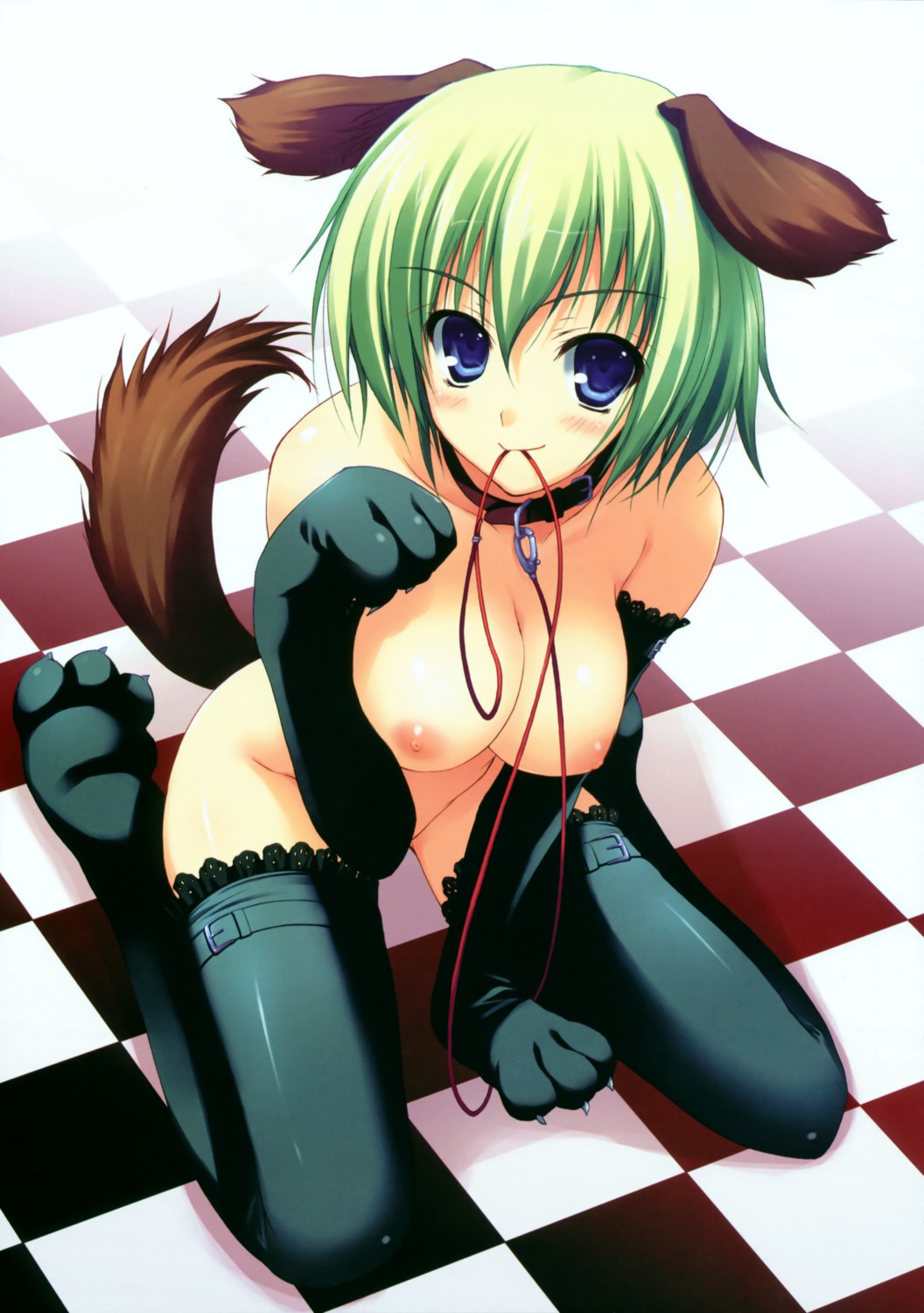 animal_ears inumimi mugenkidou naked nipples tail thighhighs tomose_shunsaku