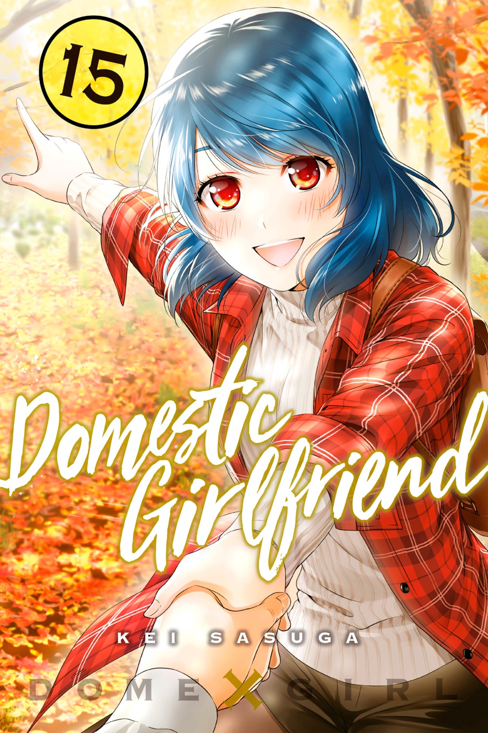 Anime Poster Domestic Na Kanojo Domestic Girlfriend Rui Tachibana