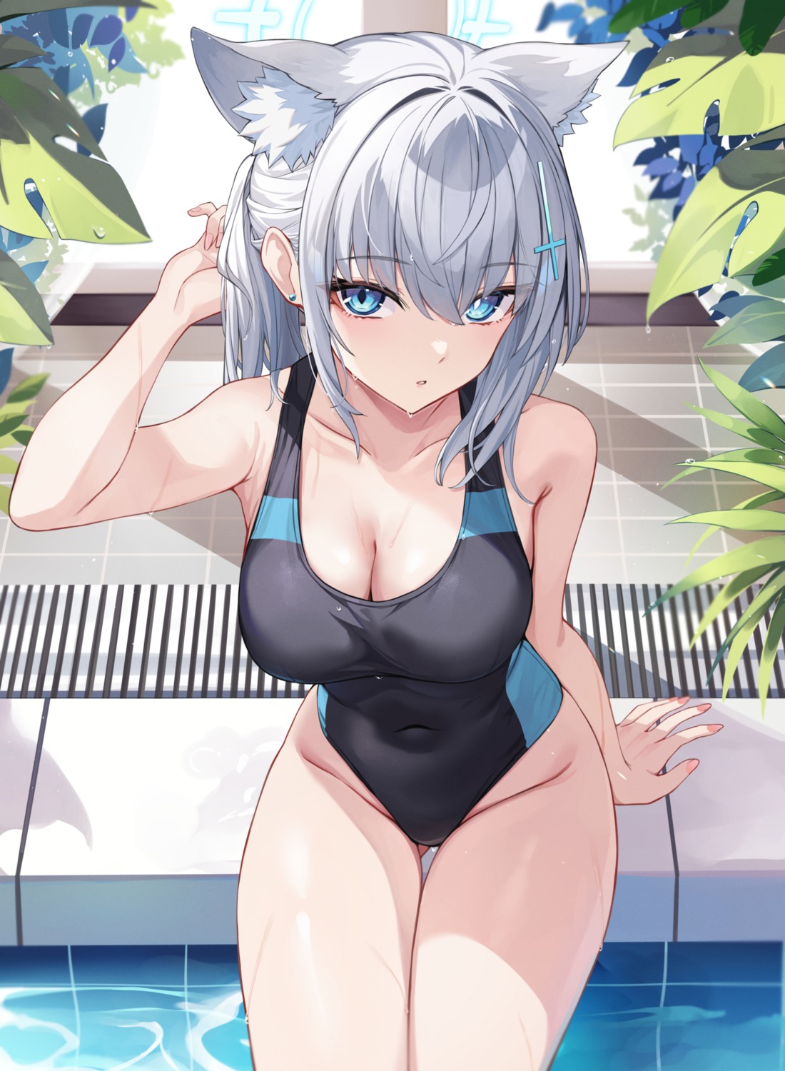 animal_ears blue_archive halo nekomimi sunaookami_shiroko swimsuits takehana_note wet