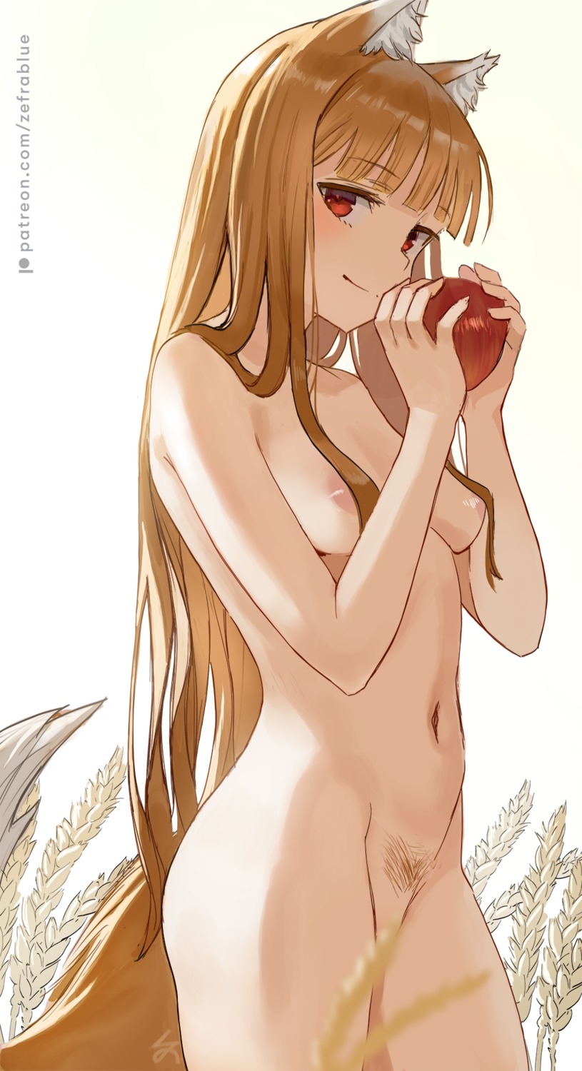animal_ears areola holo naked pubic_hair spice_and_wolf tail zefrableu