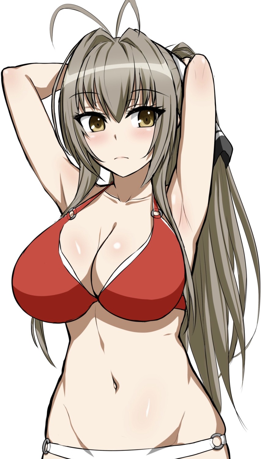 abukobato amagi_brilliant_park bikini cleavage sento_isuzu swimsuits