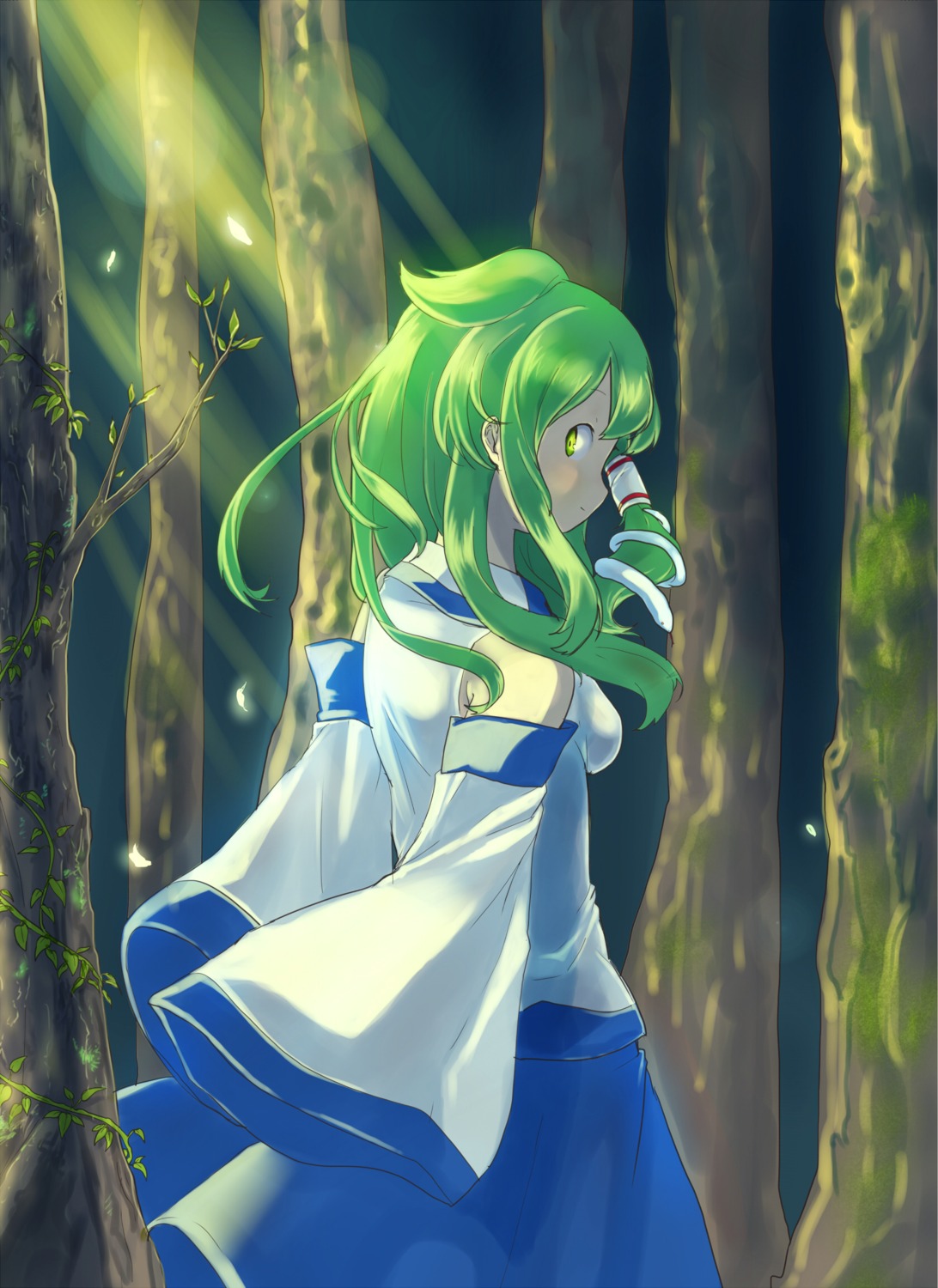 hutaba123 kochiya_sanae touhou