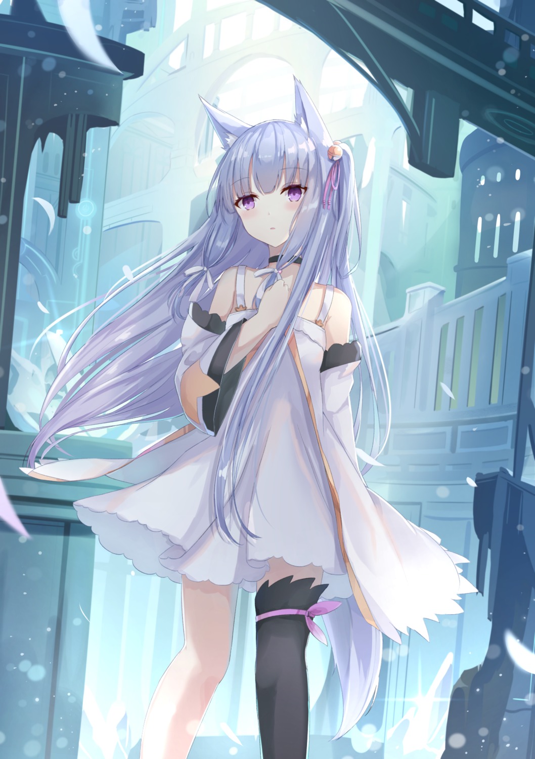 animal_ears dress tail thighhighs touhourh