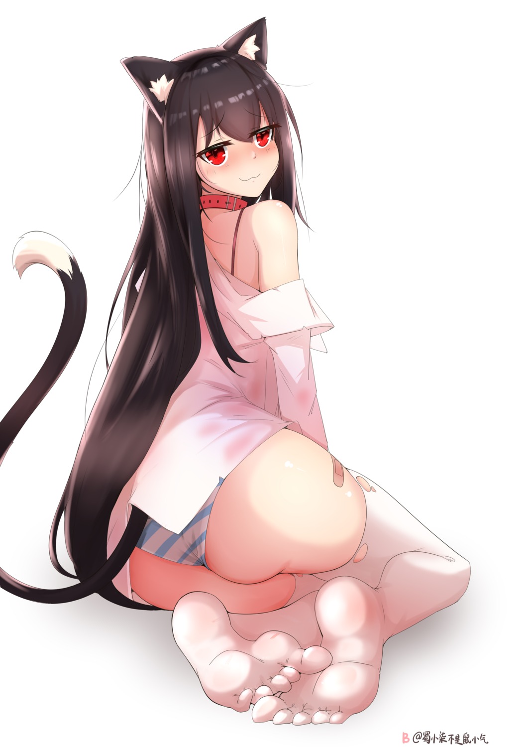 animal_ears ass bandaid bra dress_shirt feet hinanawi_mika nekomimi open_shirt pantsu shimapan tail thighhighs torn_clothes