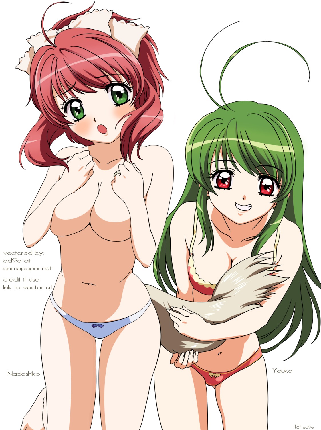 bra breast_hold inukami nadeshiko pantsu tail topless vector_trace watermark youko