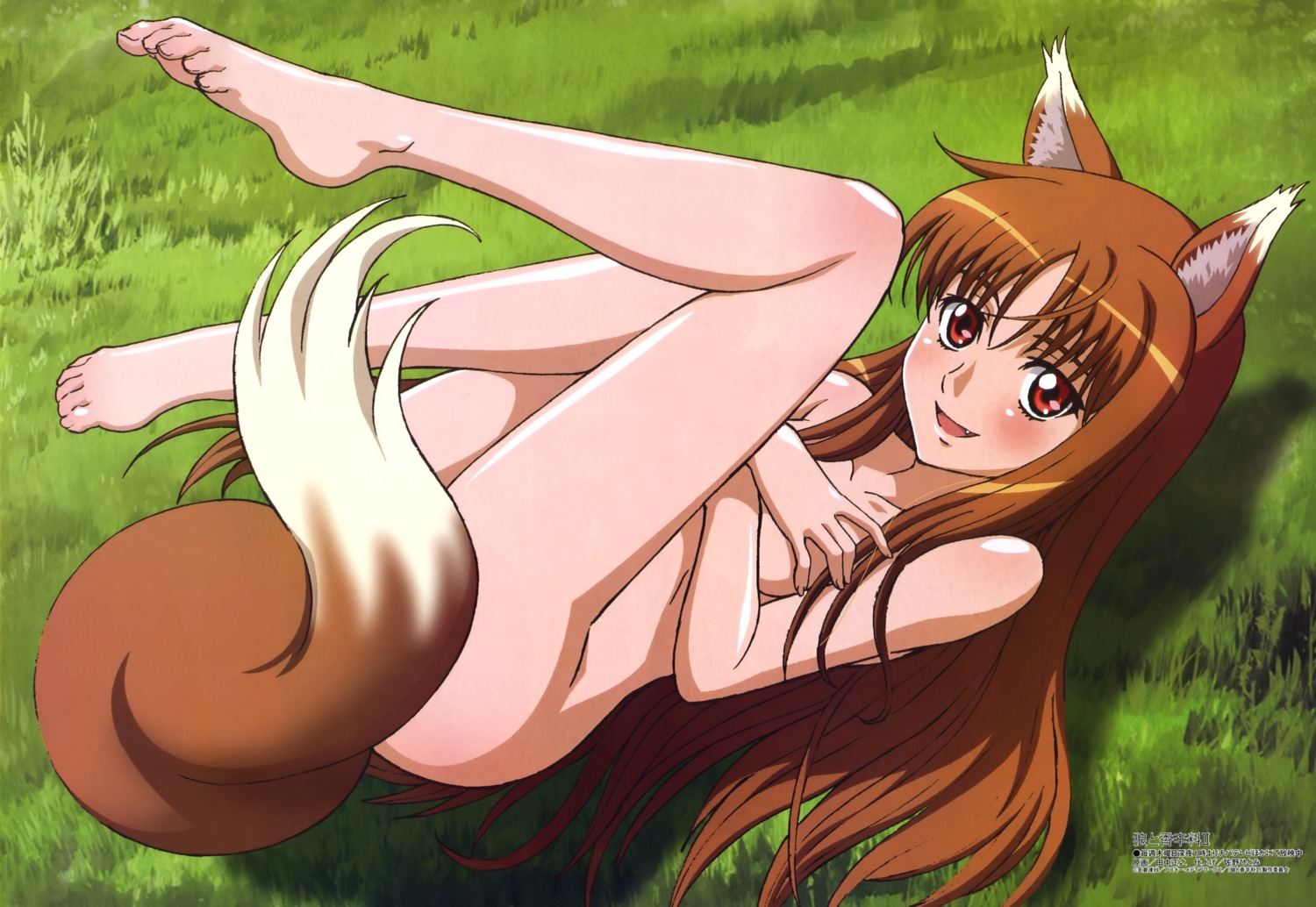 animal_ears breast_hold feet holo naked spice_and_wolf tail tanaka_masayuki