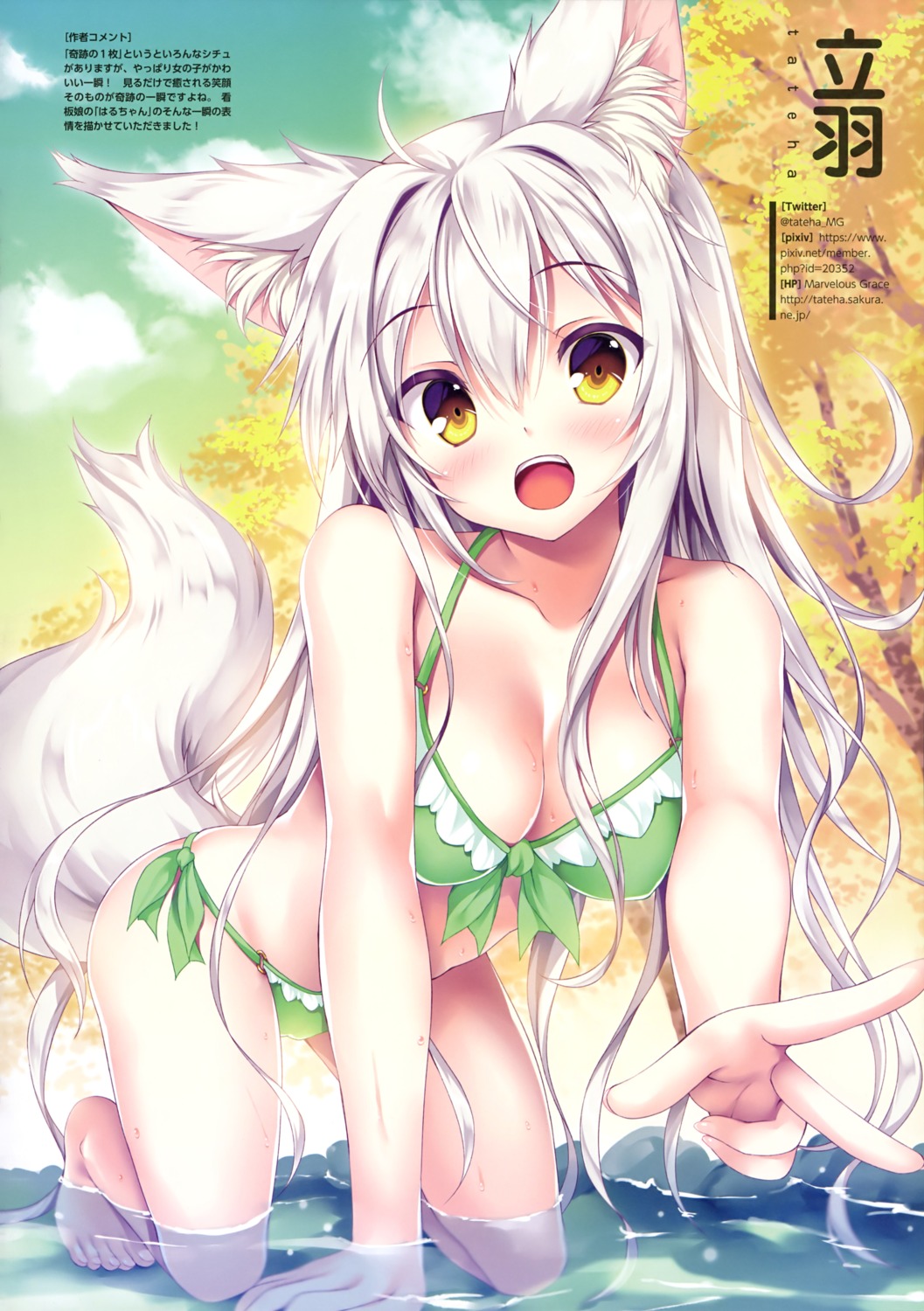 animal_ears bikini cleavage swimsuits tail tateha wet