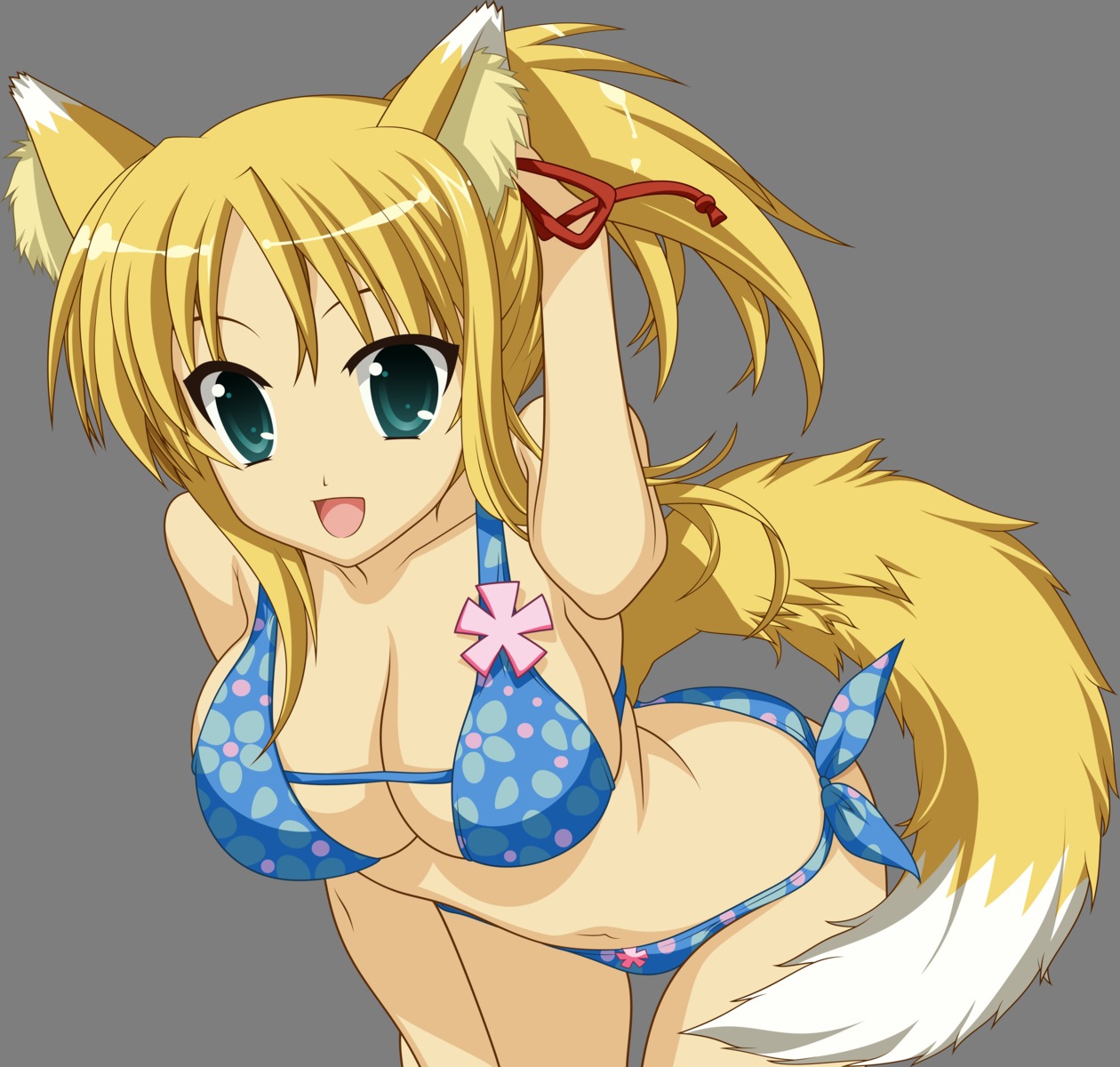 animal_ears bikini cleavage dog_days kitsune swimsuits tail transparent_png vector_trace yukikaze_panettone